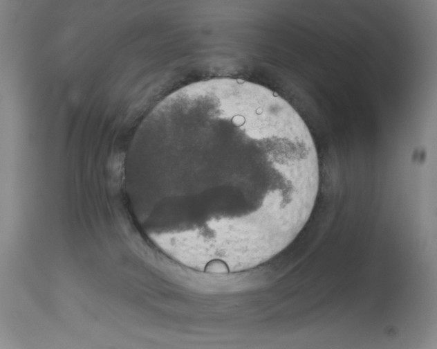 X0000112910034200910051054