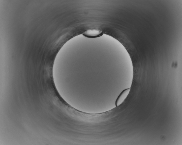 X0000112910035200910051054