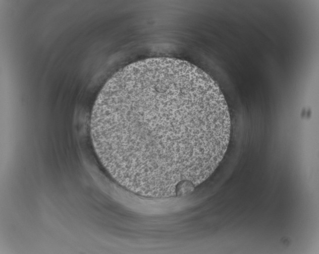 X0000112910038200910051054