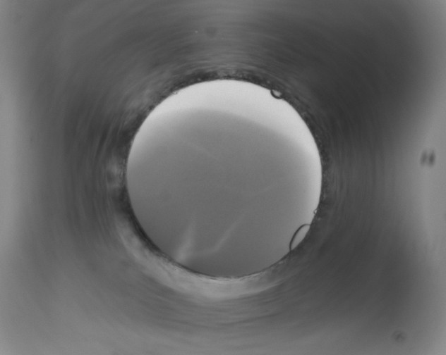 X0000112910039200910051054