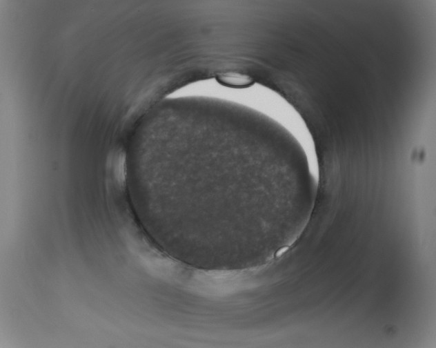 X0000112910041200910051054