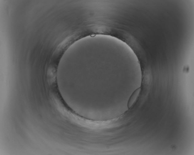 X0000112910043200910051054