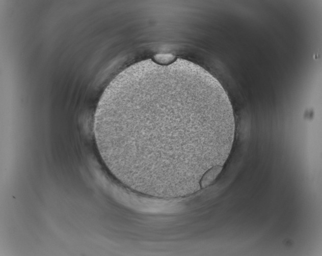 X0000112910044200910051054