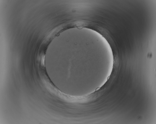 X0000112910046200910051054