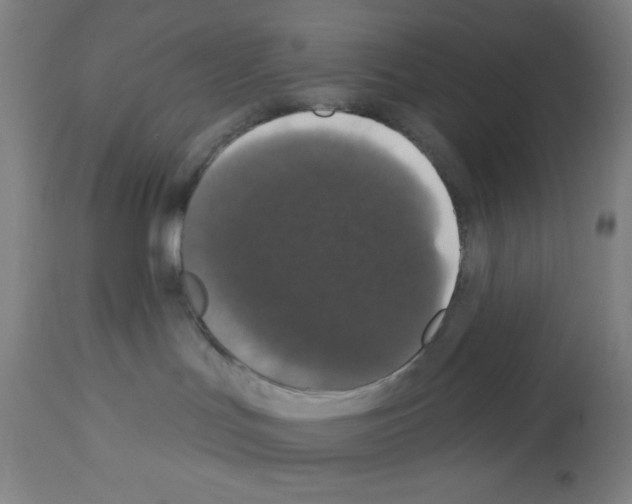 X0000112910047200910051054