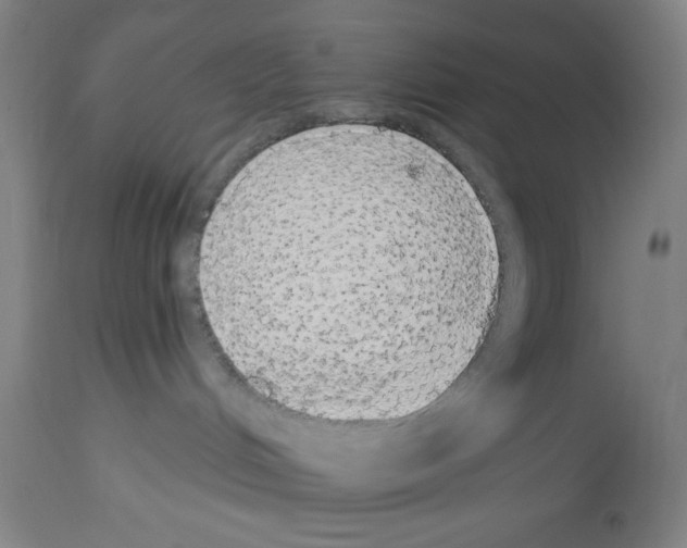 X0000112910048200910051054