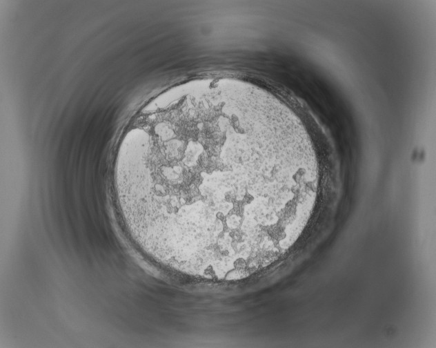 X0000112910049200910051053