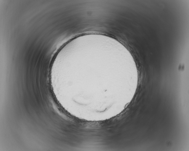 X0000112910050200910051053
