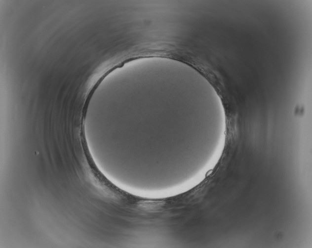 X0000112910051200910051053