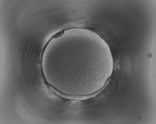 X0000112910052200910051053