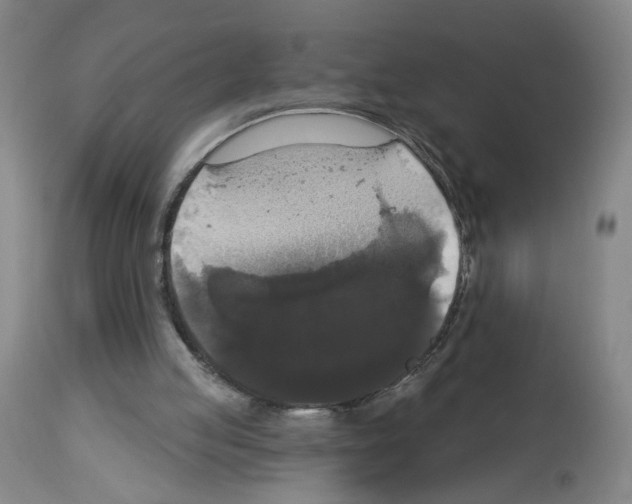 X0000112910053200910051053
