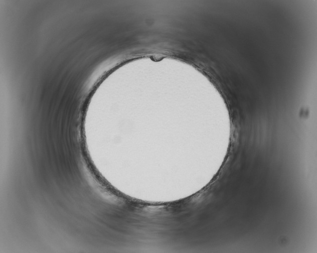 X0000112910054200910051053