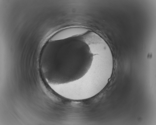 X0000112910055200910051053