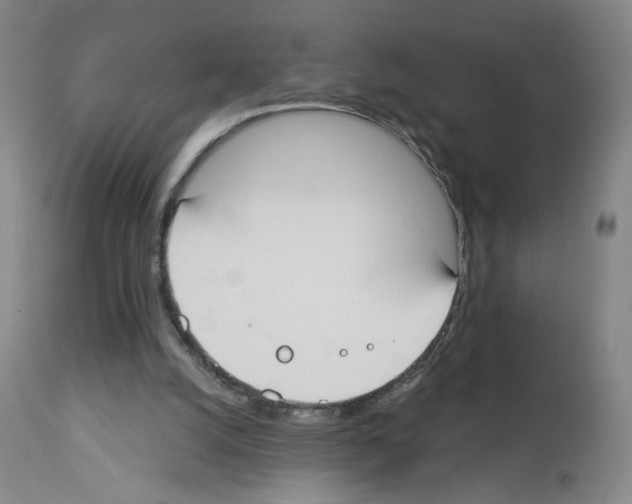 X0000112910056200910051053