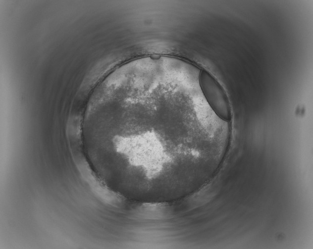 X0000112910057200910051053