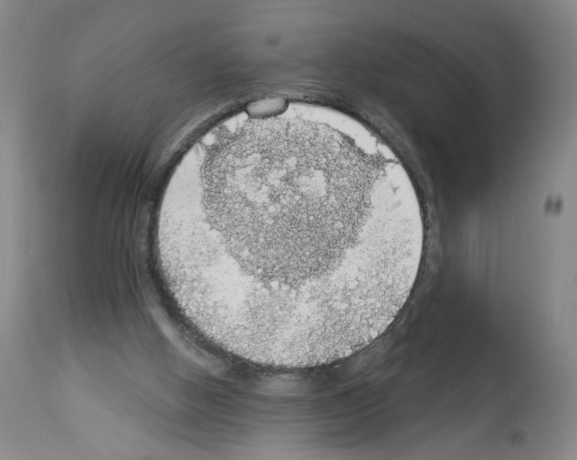 X0000112910058200910051053