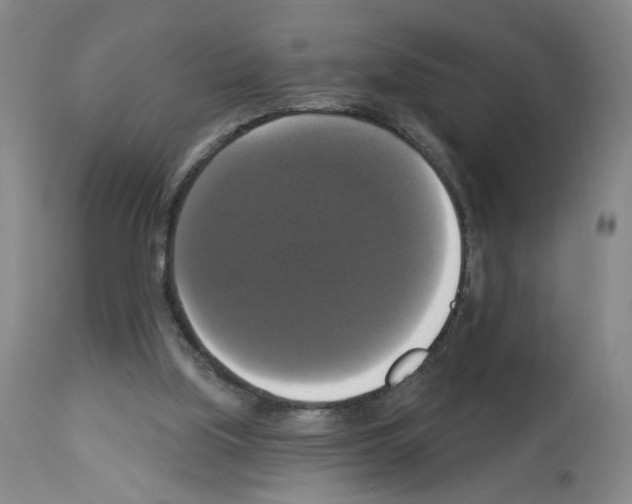 X0000112910059200910051053