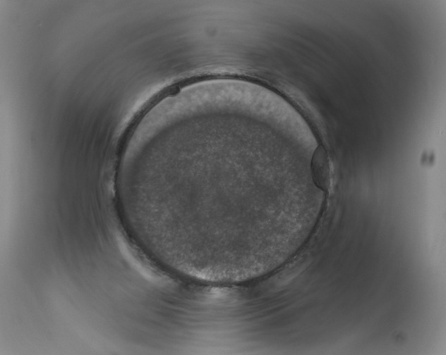 X0000112910060200910051053