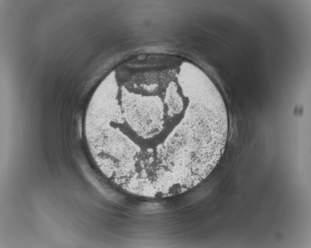 X0000112910061200910051053