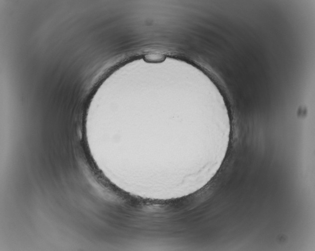 X0000112910062200910051053