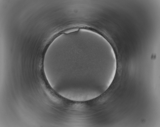 X0000112910063200910051053