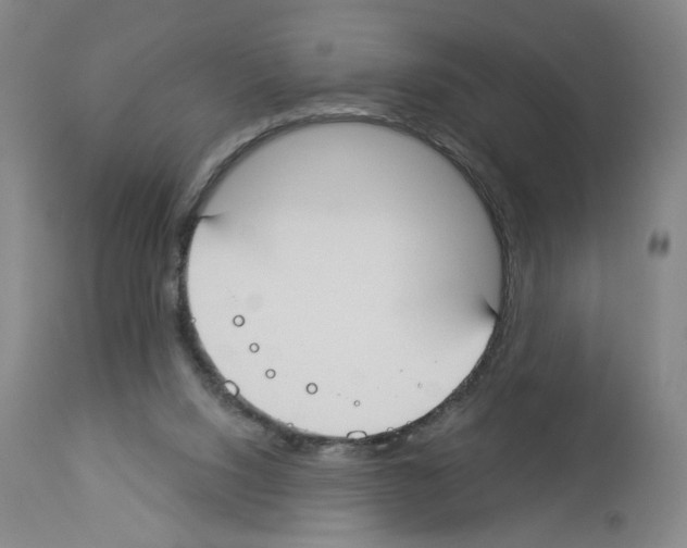 X0000112910064200910051053