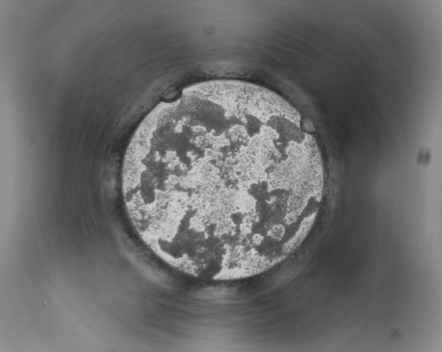 X0000112910065200910051053