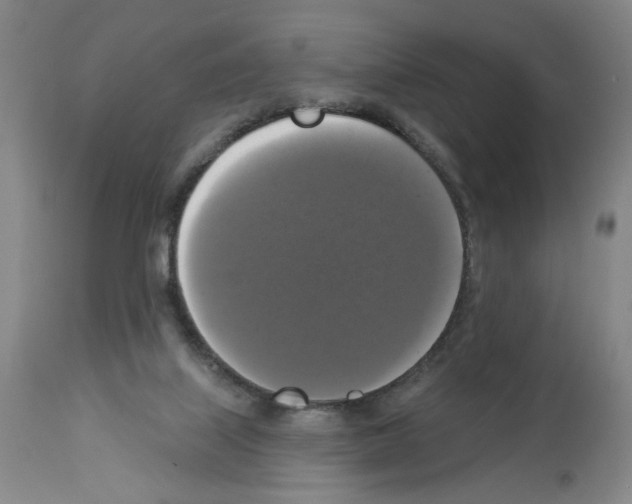 X0000112910067200910051054
