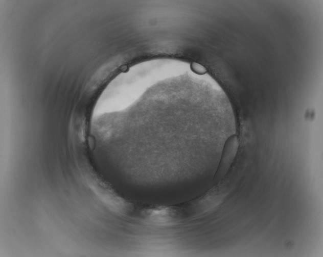X0000112910068200910051054