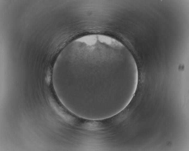 X0000112910069200910051054