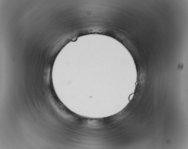 X0000112910070200910051054