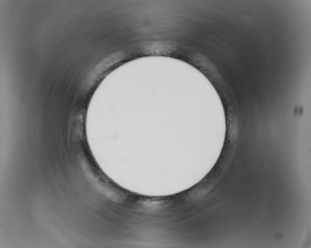 X0000112910071200910051054