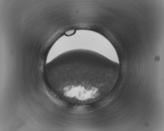 X0000112910072200910051054