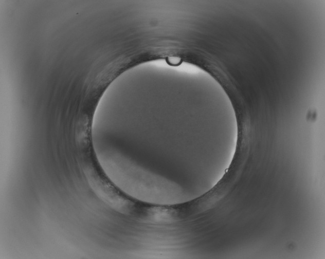 X0000112910073200910051054