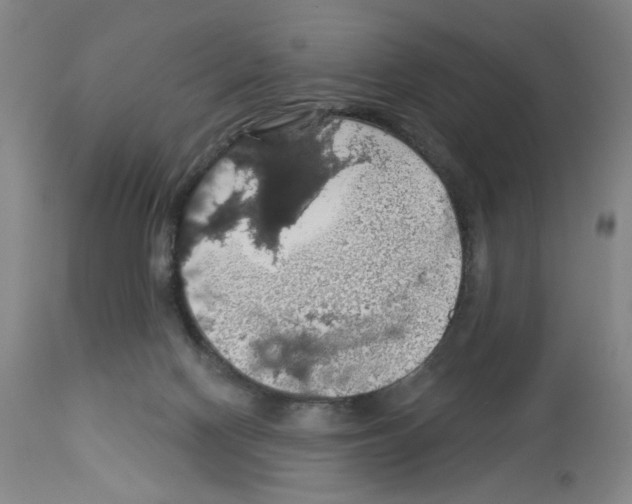 X0000112910074200910051054