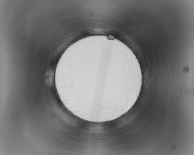 X0000112910075200910051054