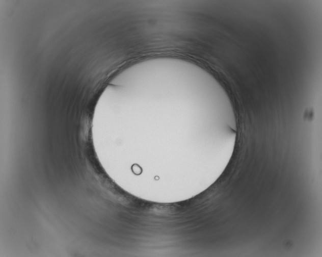X0000112910076200910051054