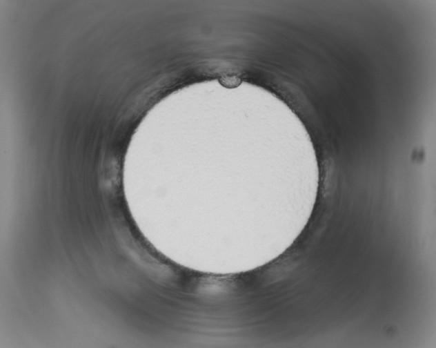 X0000112910077200910051054