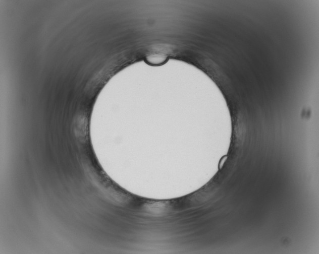 X0000112910079200910051054