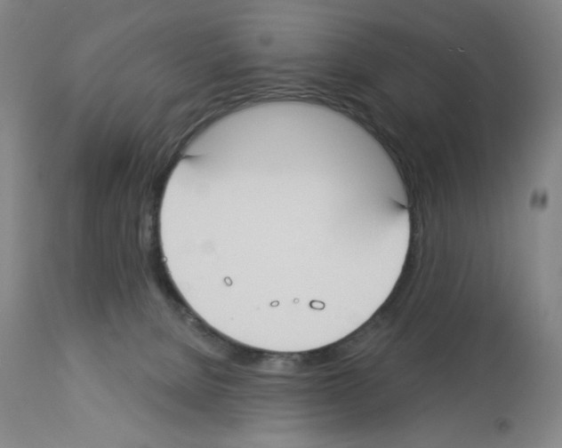 X0000112910080200910051054