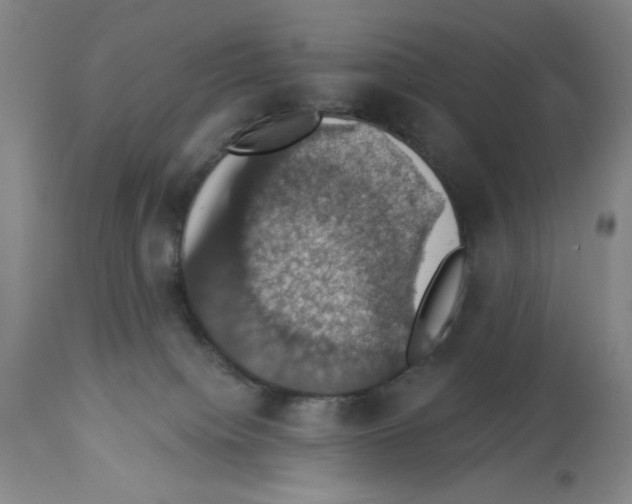 X0000112910084200910051054