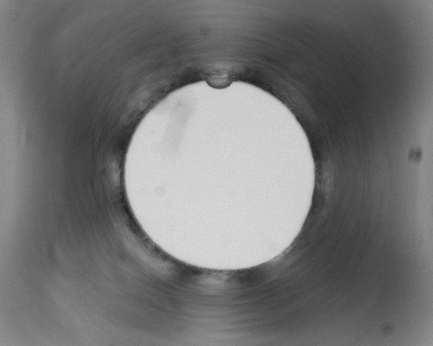 X0000112910086200910051054