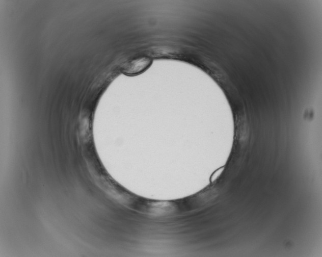 X0000112910087200910051054