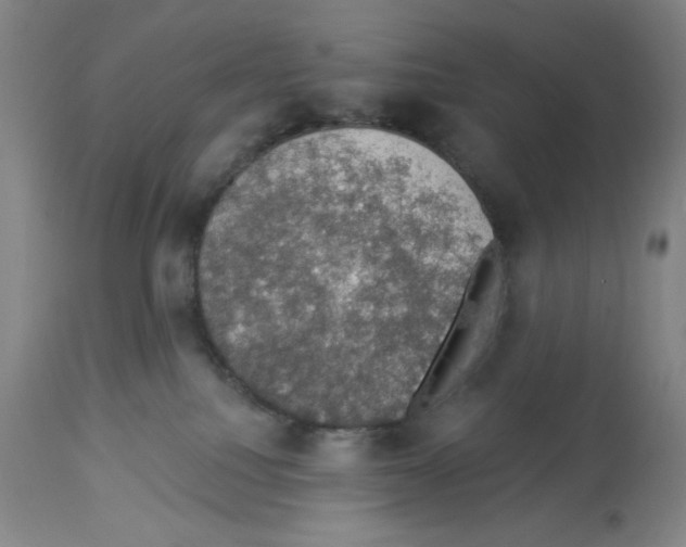 X0000112910088200910051054