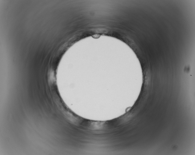 X0000112910089200910051054