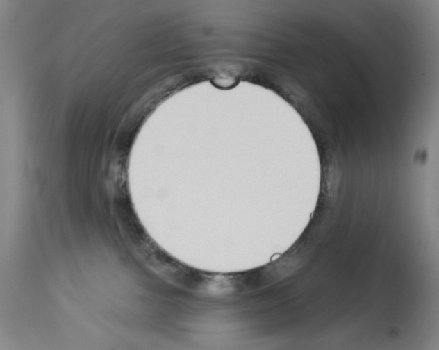 X0000112910091200910051054