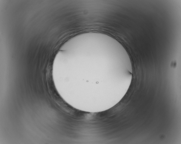 X0000112910092200910051054