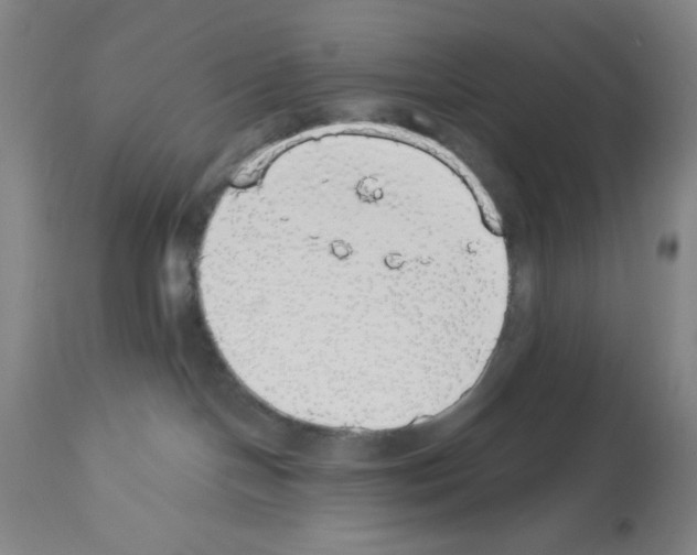 X0000112910094200910051054