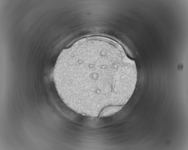 X0000112910095200910051054