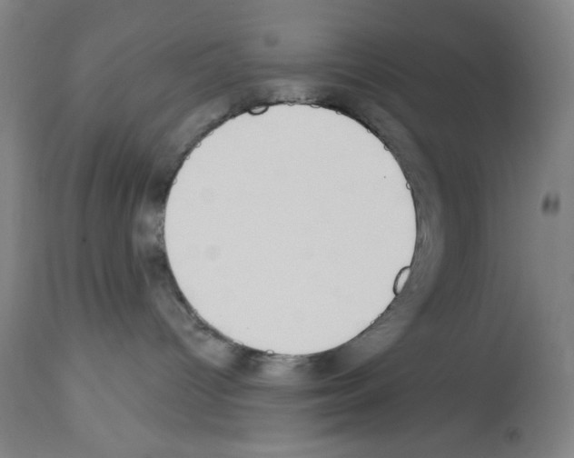 X0000112910096200910051054